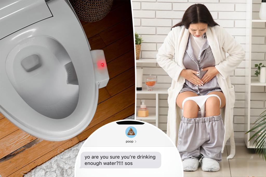 AI toilet camera takes pictures of poo - here's why you want a faecal record